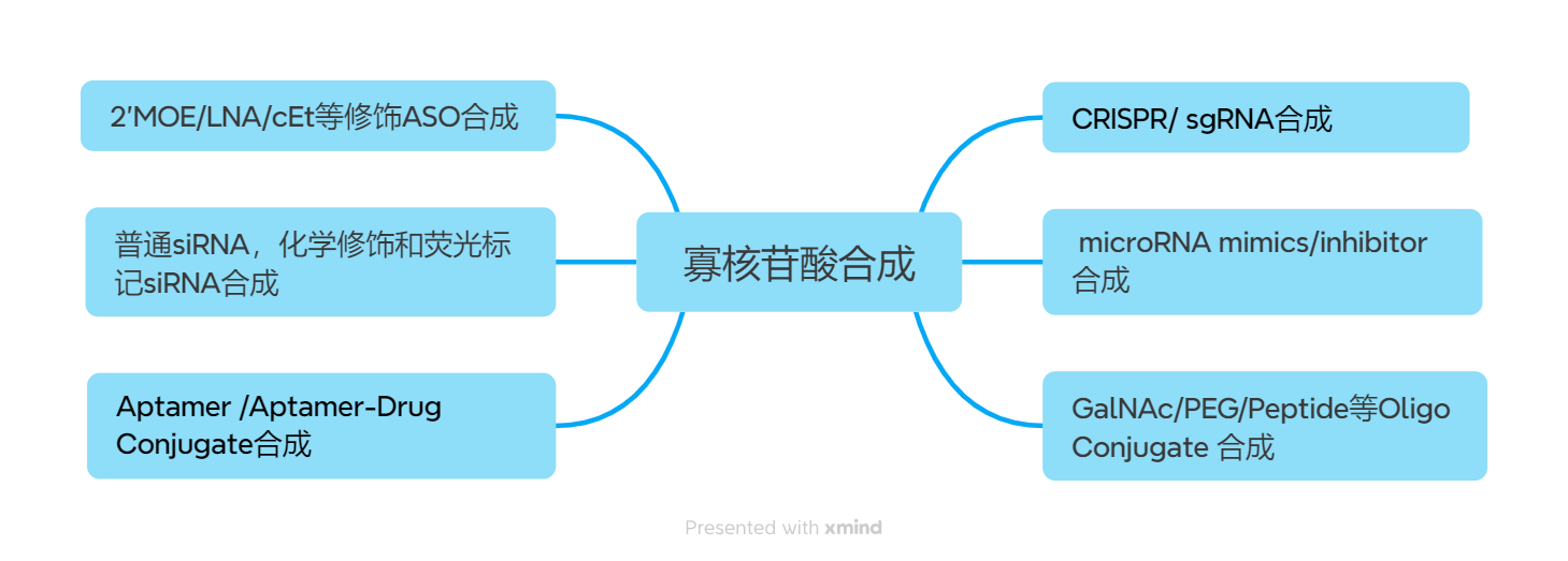 ASO/siRNA筛选功能